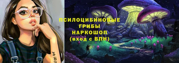 герыч Алексин