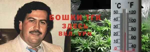 ешки Алексеевка